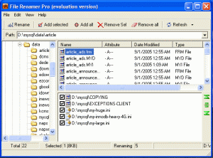file renamer,  file renamer pro, batch file renamer, rename multiple files