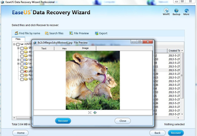 Data Recovery Wizard Professional