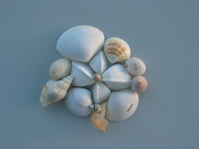 Australian Landscapes Screensaver 02, Australian Landscapes, Australian Screensaver, Landscapes Screensaver