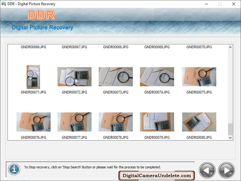 Professional, camera, data, retrieval, application, recover, deleted, photographs, SLR, salvage, tool, fetch, erased, images, audio, clippings, corrupted, digicam, data, repairing, program, rescue, music, albums, snapshot, picture, novelty