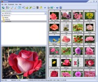 Able Image Browser