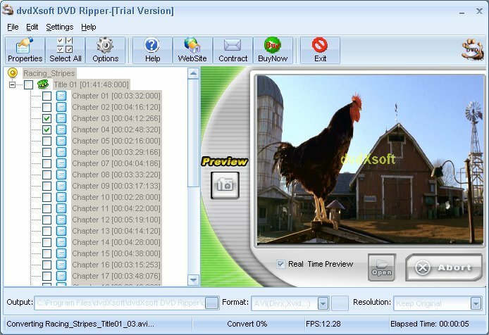 dvd ripper, dvd converter, dvd to mpeg, dvd to avi, dvd to wmv, dvd, mpeg, avi, wmv, mpeg-1, mpeg-2, mpeg-4, divx, xvid, convert