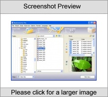 ReaConverter Pro