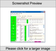 Web Optimization Angel Pro