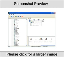 Icon Seizer
