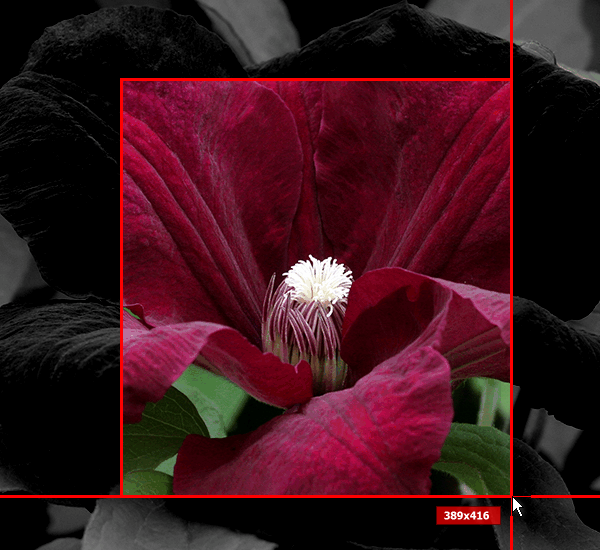 screen capture, screenshot, annotation, instant screen capture, spx