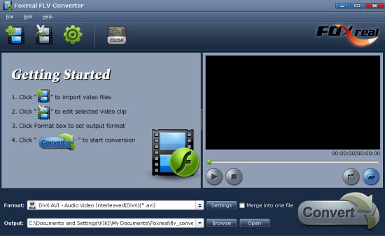 FLV to Video Converter Pro 2