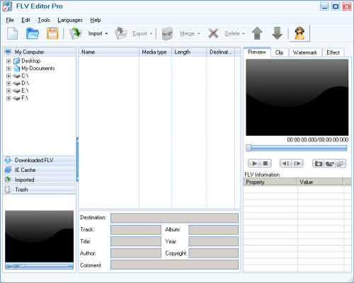 FLV to Video Converter 3