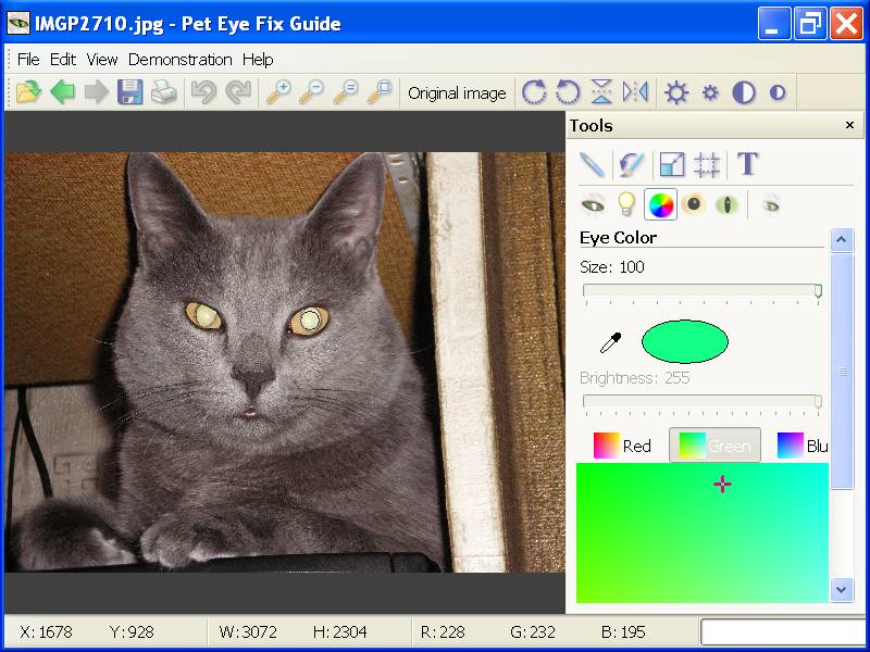 Pet Eye Fix Guide