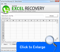 Excel Recovery
