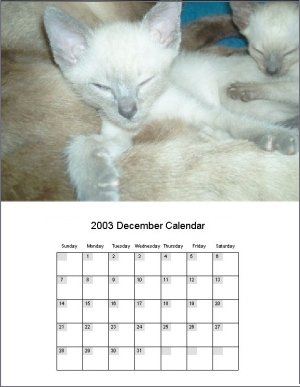 Calendar Making Software Helping You Make Your Own