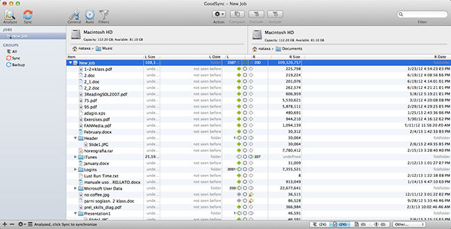 GoodSync for Mac