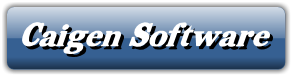Caigen Access JDBC Driver