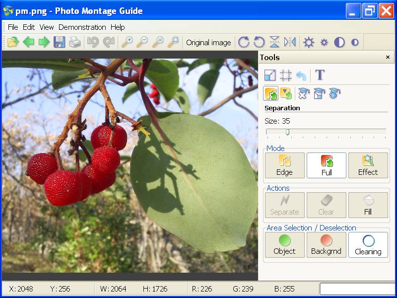 Photo Montage Guide