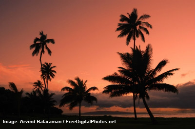 Hawaiian Airlines Reservations Puzzle