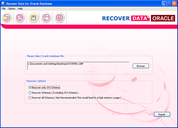 Repair Oracle Database Files