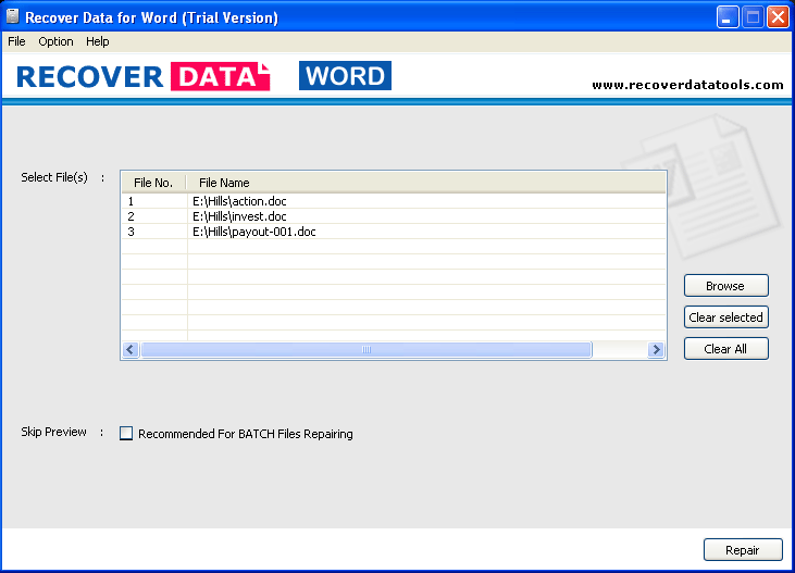 Word Document Recovery Program