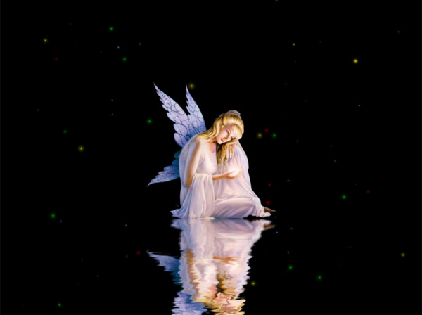 Fairy Animated Wallpaper Downloader