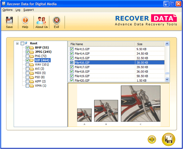 Windows Digital Picture Recovery