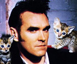 Morrissey Screensaver