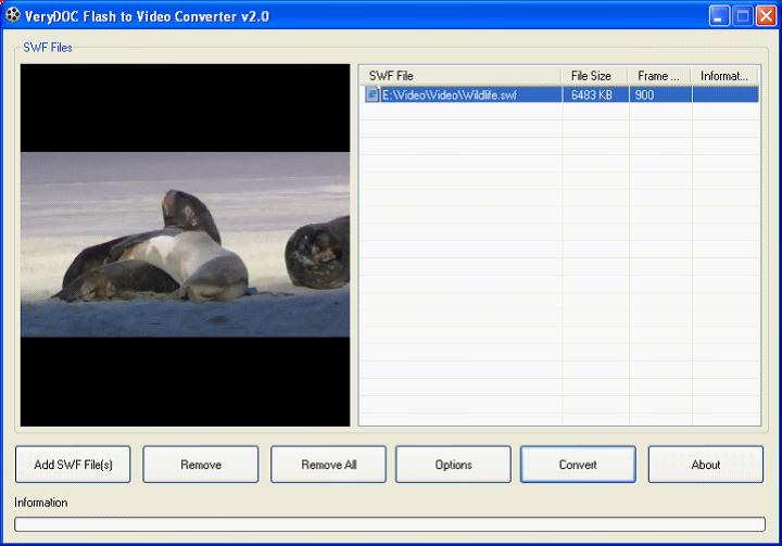 SWF to MPG Converter