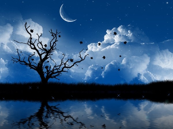 Nature Animated Wallpaper Tool