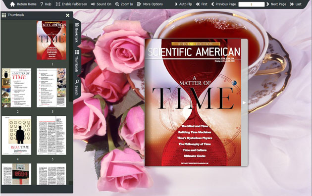 Flash Catalog Templates of Tea Style