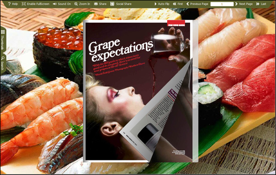 FlipBook Creator Themes Pack Classical Salmon