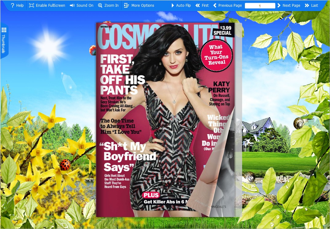 Boxoft PDF to Flash Flip Book for iPad