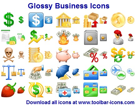Glossy Business Icon Set