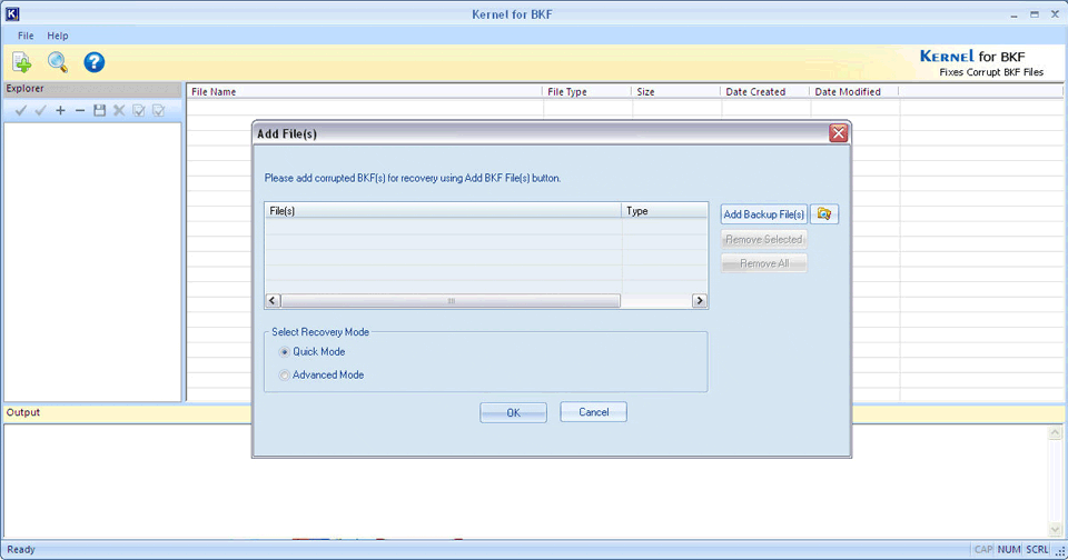 Recovery Files - BKF Repair