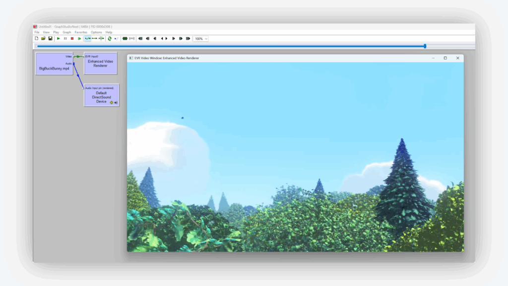 VisioForge RTSP/RTMP/HTTP filter