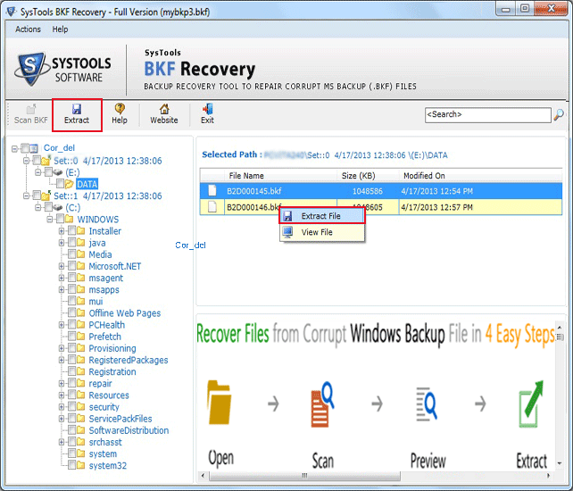 How to Recover Word File From BKF Database