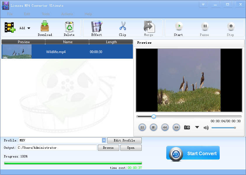 Lionsea MP4 Converter Ultimate