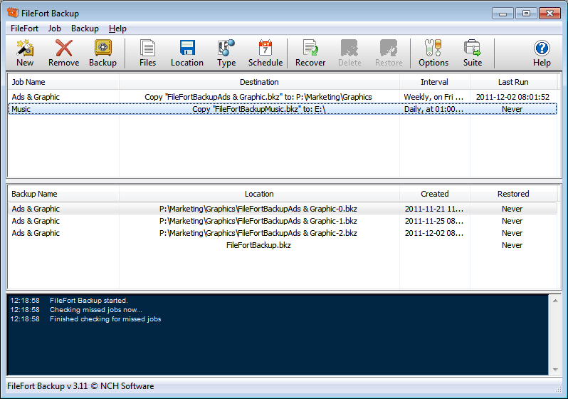 FileFort Plus Data Backup Software