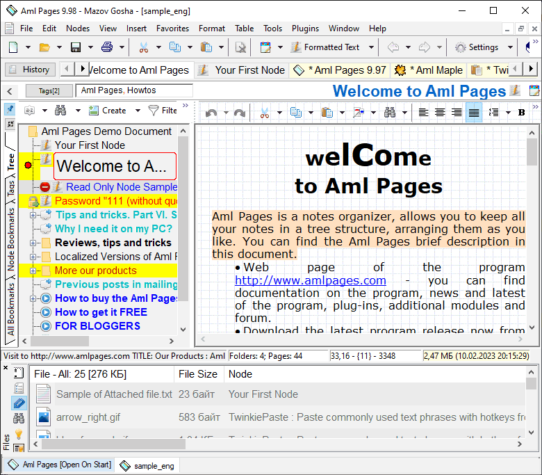 Aml Pages Polish Version