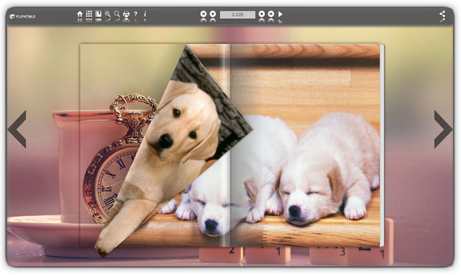 Free Wedding Photos flipbook creator