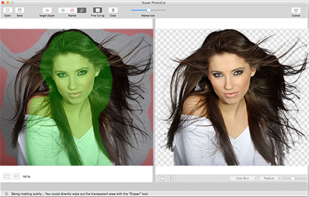 Image Background Removal for Mac, remove image background for Mac, Remove Background from Image for Mac, cutout object for Mac, background removal software for mac