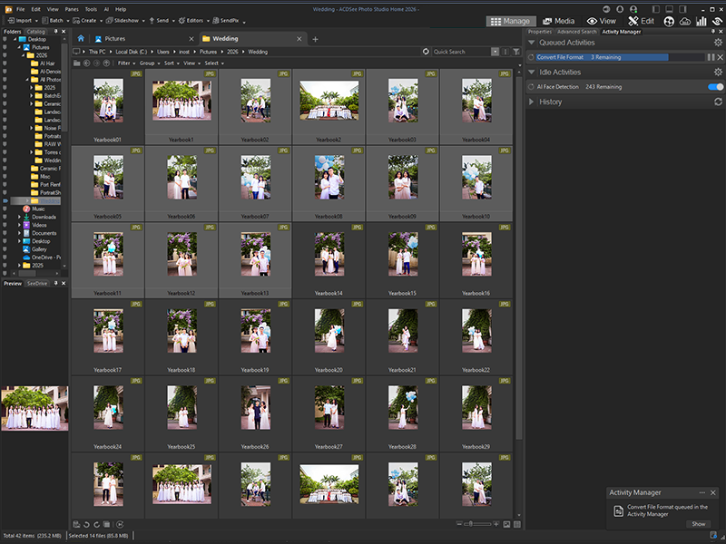 Improve Skin Tone, Grain Tool, digital asset manager, digital asset management, Grain Tool, AI Face Detection, Facial Recognition, photo management software, photo manager software, asset manager software, photo organizer, photo management, photo man