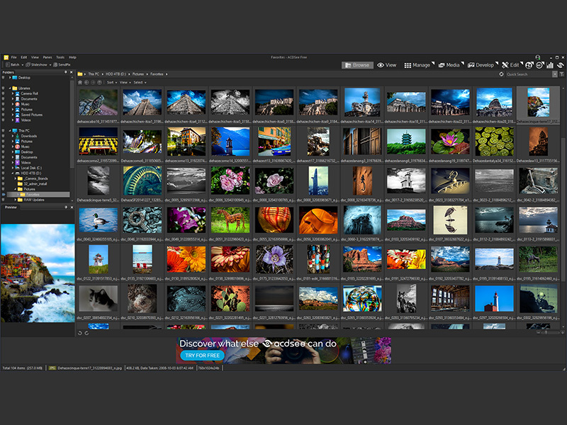 ACDSee, ACDSee Free, Free Viewer, File Browser, Browser, Image Viewer, RAW Camera, RAW, Batch Rotate, Batch Flip, SendPix, Share, Printing, Share Files, Speedy Viewing, Slideshows, Create Slideshows, Sorting, Sorting Libraries, Searching Files, RAW F
